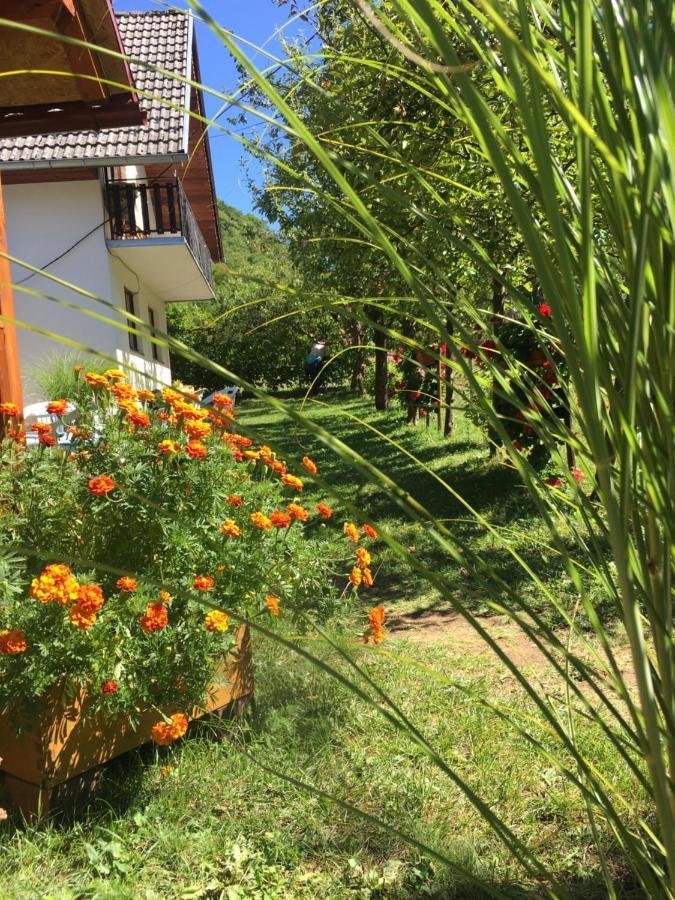 Domacinstvo Ubovic Villa Sipovo ภายนอก รูปภาพ